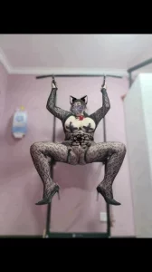 丹夫人 百变母狗