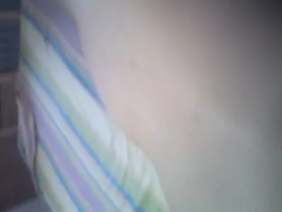 熊出没之夺宝熊兵动画片